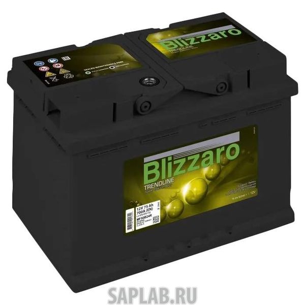 Купить BLIZZARO 75L700A Аккумулятор BLIZZARO SILVERLINE 75L 700A 278x175x190