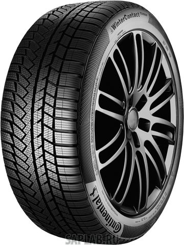 Купить CONTINENTAL 0354793 Шины Continental CONTIWINTERCONTACT TS850P 215/60R18 98H Runflat MOE