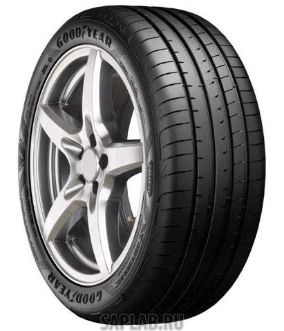 Купить GOODYEAR 575909 GOODYEAR 255/50/19 Y 107 EAG. F-1 ASYMMETRIC 5 XL (BMW)