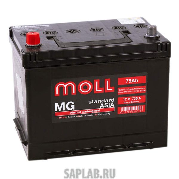 Купить MOLL MG75JL Аккумулятор MOLL MG 75JL 588