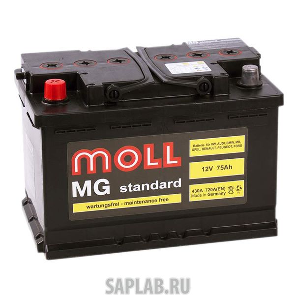 Купить запчасть MOLL - MG75L 