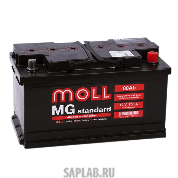 Купить MOLL MG80SR Аккумулятор MOLL MG 80SR 619